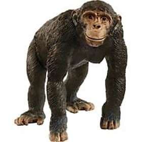 Schleich WILD LIFE 14883