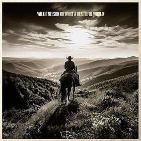 Willie Nelson Oh What A Beautiful World CD