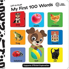 Baby Einstein Lift A Flap My First 100 Words Novelty Board Book (inbunden, eng)