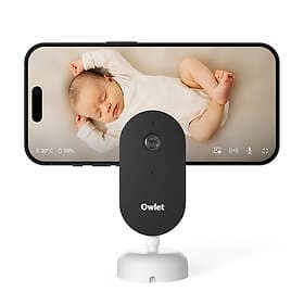 Owlet Dream Sight