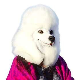 CreepyParty Poodle Dog Latex Mask