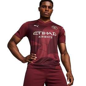 Puma Manchester City Third Jersey Replica Male