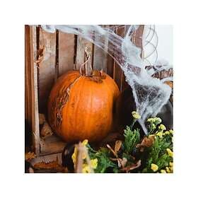Malatec MXY-00019759 Spider Web Decoration with Spiders