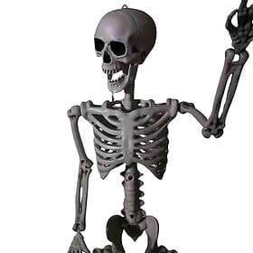 Samuel Alexander SA-SKELLY3_6 Posable Full Body Halloween Skeleton Decoration 90