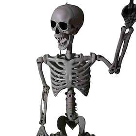 Samuel Alexander SA-HAL-SKELLY3 Posable Full Body Halloween Skeleton Decoration 