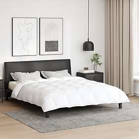 vidaXL Dun Duvet White 200x200cm 42007654