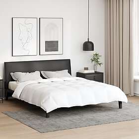 vidaXL Täcken & Duvor Down Comforter White 200x200cm 42007630