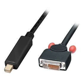 Lindy DVI-D Dual Link - DisplayPort Mini 3m