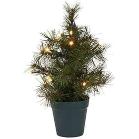 House Doctor Pinus 30cm