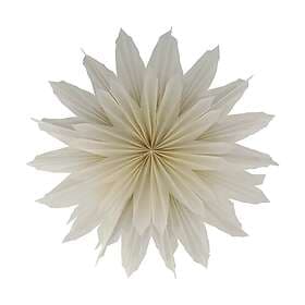 Scandi Living Brisk Advent Star (Ø50 cm)