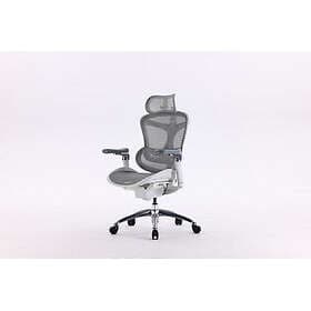 Sihoo Doro C300 Ergonomic Office Chair