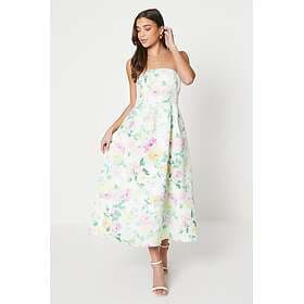 Oasis Petite Floral Bandeau Ottoman Midi Dress