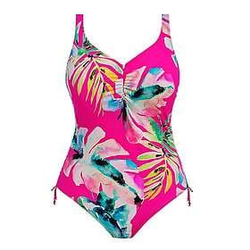 Fantasie Carabelita V Neck Swimsuit (Women's)