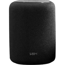 WiiM Sound Lite Bluetooth Speaker