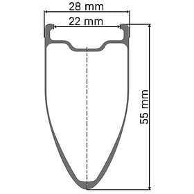 DT Swiss Arc 1100 700c 55mm Center Lock 12x142mm Shimano HG Tubeless Road Rear W