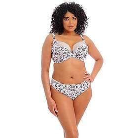 Elomi Lucie High Leg Knicker (Women's)