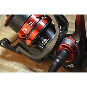 Carp Expert Introducer Feeder