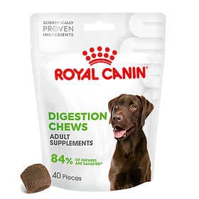 Royal Canin Digestion Adult Supplement Dog Treats 160g