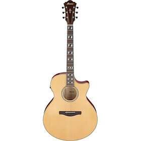 Ibanez AE170-NTR