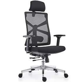 HOLLUDLE Ergonomic High-Back Swivel Task Chair Black