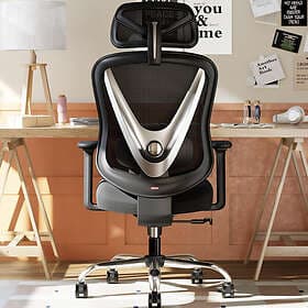 HOLLUDLE Ergonomic Office Chair With 3D Lumbar Support Black