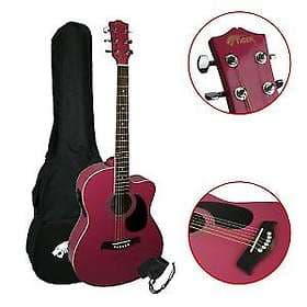 Tiger Music Cutaway Electro-Acoustic