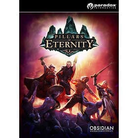 Pillars of Eternity Hero Edition (PC)