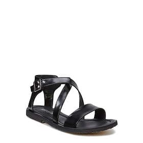 Angulus 5442 (Women's)