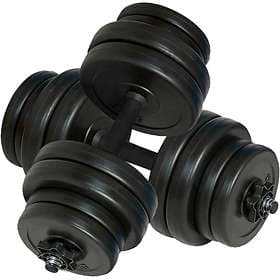 vidaXL Dumbbells 2x15kg