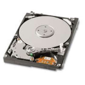 Toshiba MK2552GSX 8MB 250GB