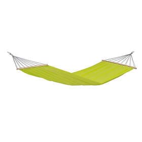 Amazonas Miami Hammock