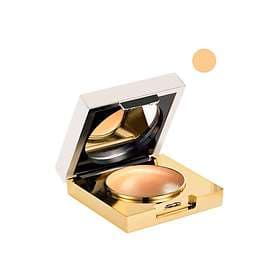 Elizabeth Arden Flawless Finish Maximum Coverage Concealer
