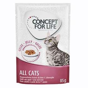 Concept for Life Cat Beauty Pouches 24x0.085kg