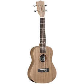 Tanglewood TWT 3