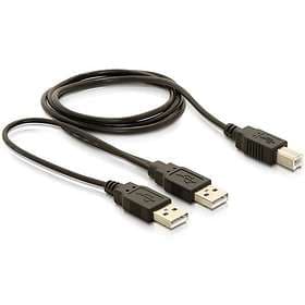 DeLock 2x USB A - USB B 2.0 1m