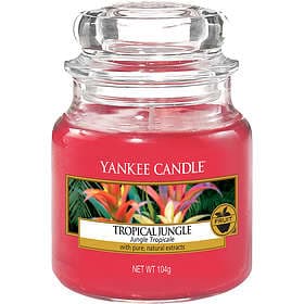 Yankee Candle Tropical Jungle Small Jar