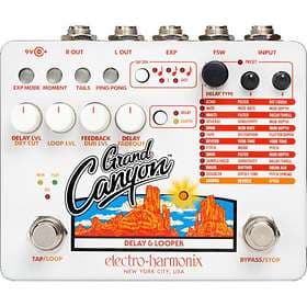 Electro Harmonix Grand Canyon Delay & Looper