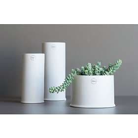 DBKD Astillbe Ø9cm