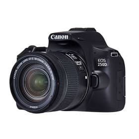 Canon EOS 250D + 18-55/4.0-5.6 IS STM