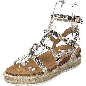 Steve Madden Array (Women's)