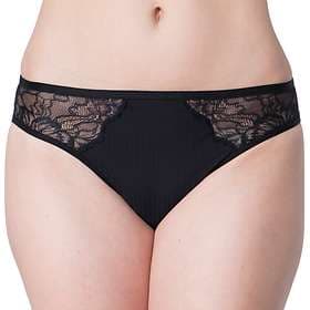 Triumph Peony Florale Tai