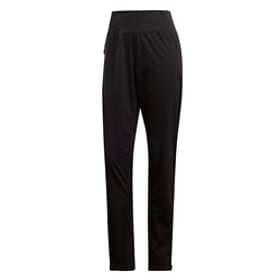 Adidas Terrex Xperior Pants (Women's)