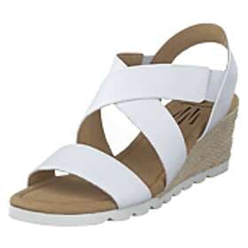 Wildflower Cuesta (Women's)