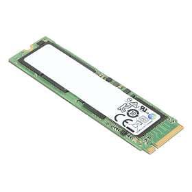 Lenovo 4XB0W79580 256GB