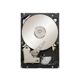 Seagate Constellation ES ST31000524NS 32MB 1TB
