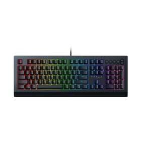 Razer Cynosa V2 (EN)