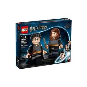 LEGO Harry Potter 76393 Harry Potter & Hermione Granger