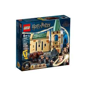 LEGO Harry Potter 76387 Hogwarts: Fluffy Encounter
