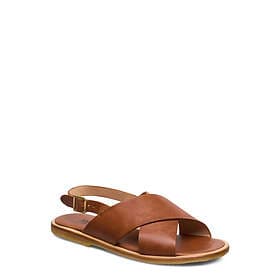 Angulus 5637 (Women's)