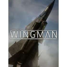 Project Wingman (PC)